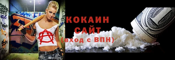 шишки Беломорск
