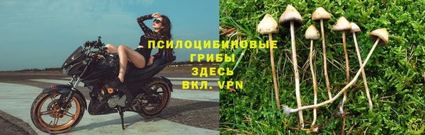 ешки Балахна